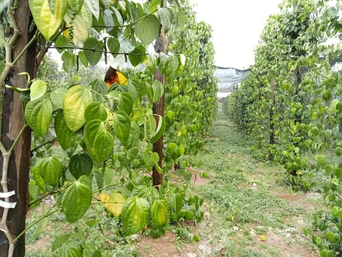Ratanakiri Farmhouse & Trekking Banlung 外观 照片