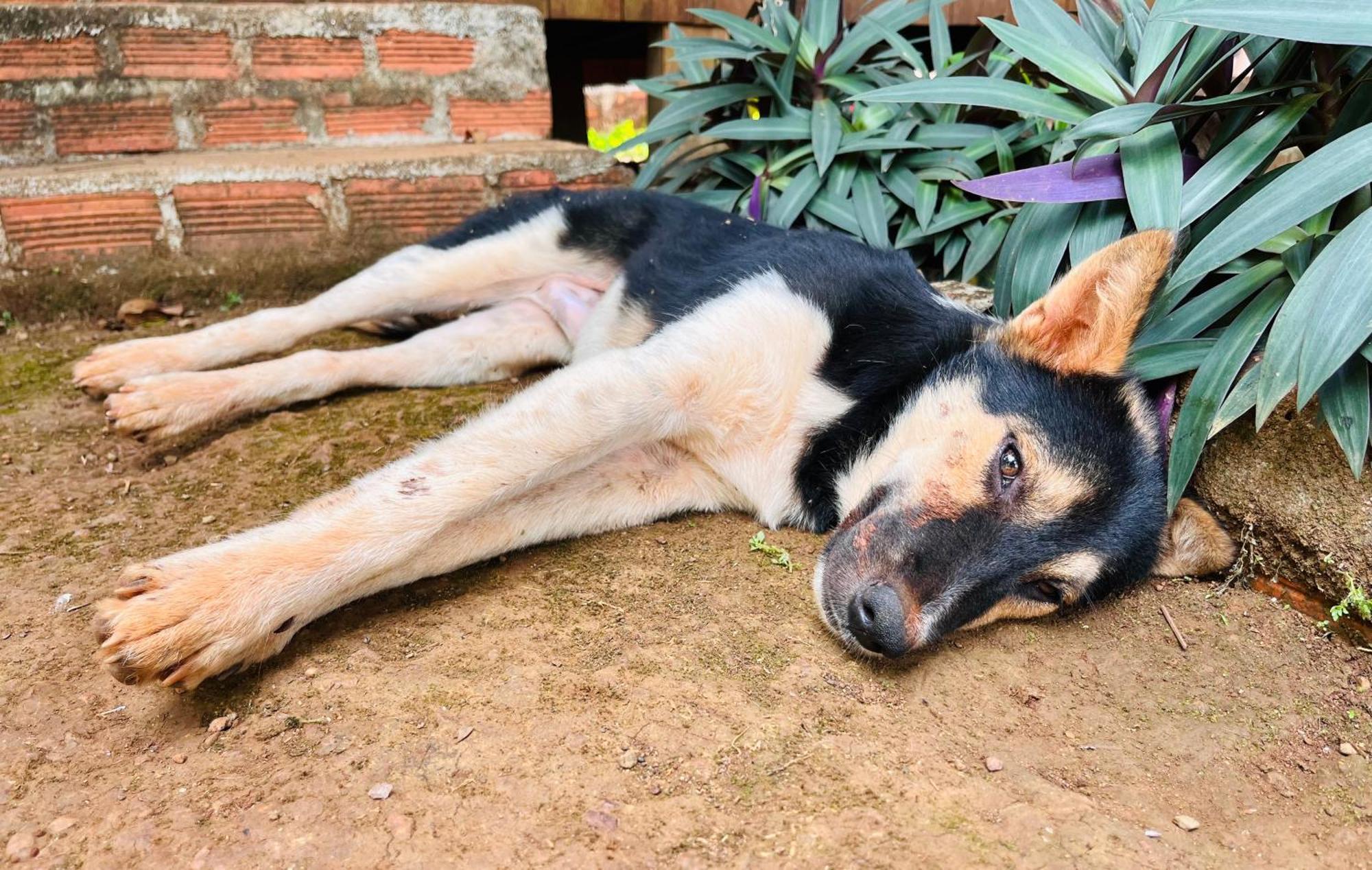 Ratanakiri Farmhouse & Trekking Banlung 外观 照片