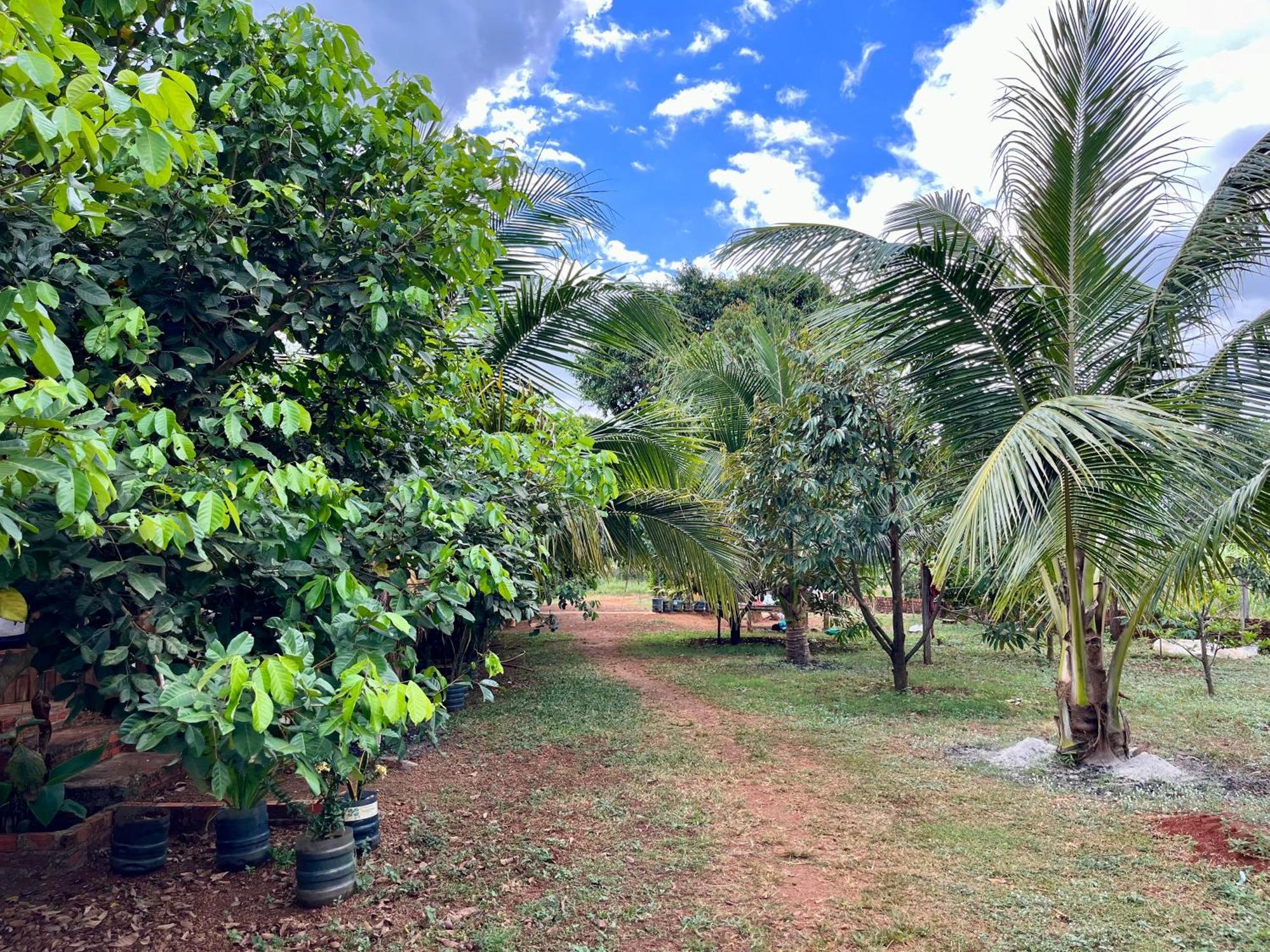 Ratanakiri Farmhouse & Trekking Banlung 外观 照片