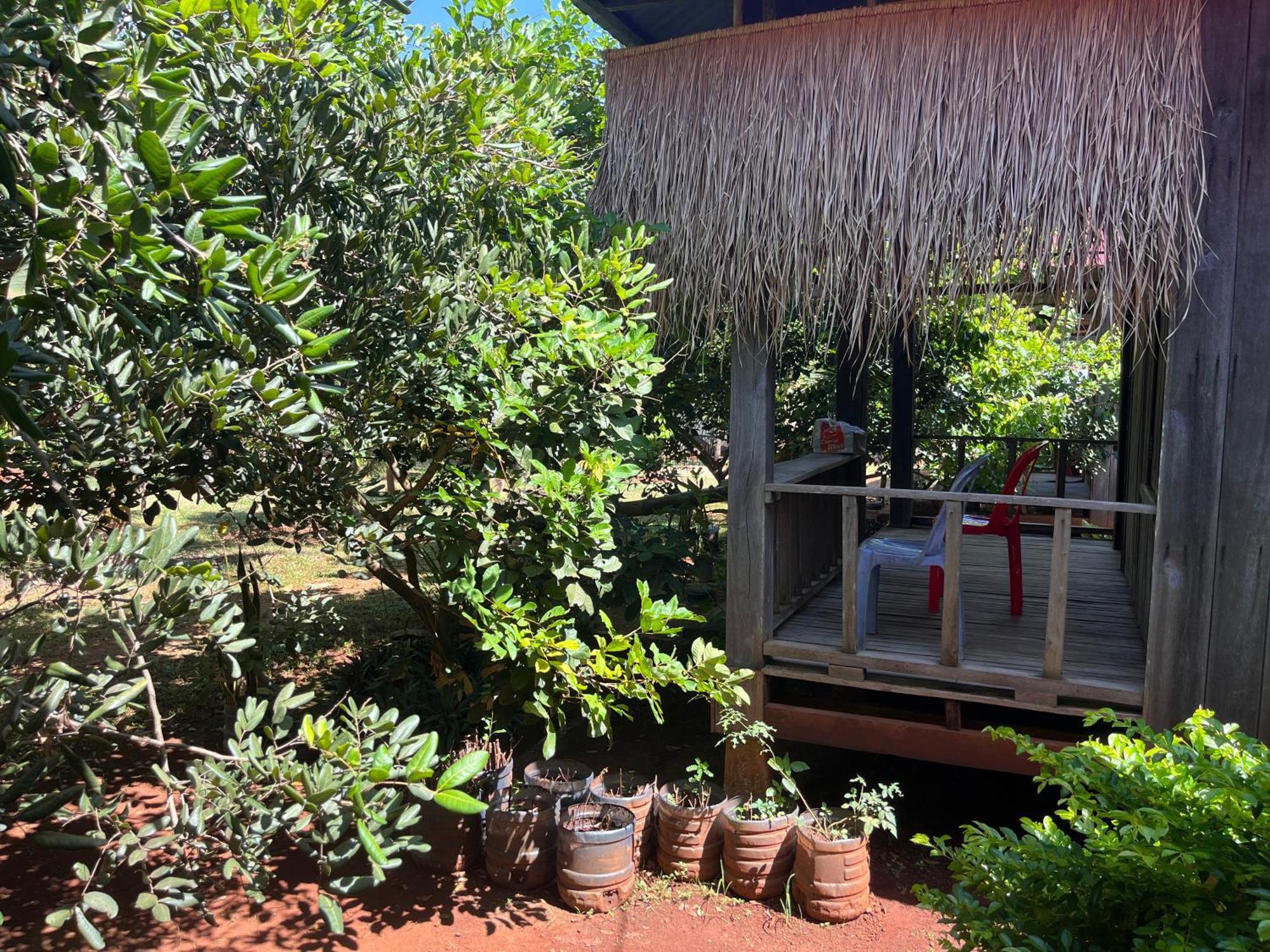 Ratanakiri Farmhouse & Trekking Banlung 外观 照片