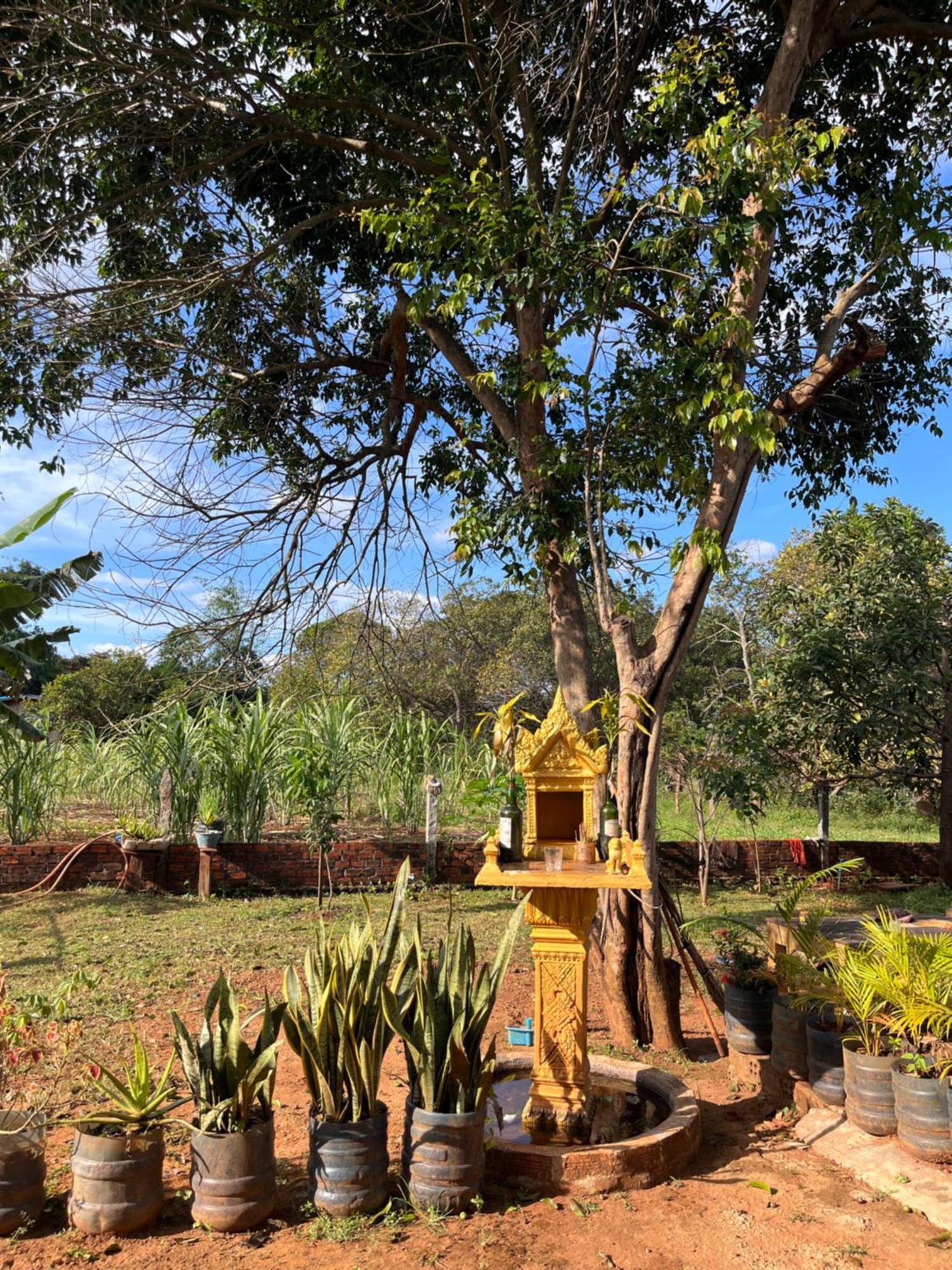 Ratanakiri Farmhouse & Trekking Banlung 外观 照片
