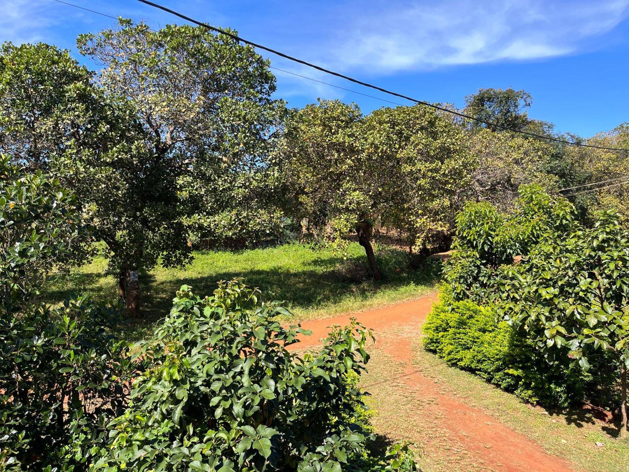 Ratanakiri Farmhouse & Trekking Banlung 外观 照片